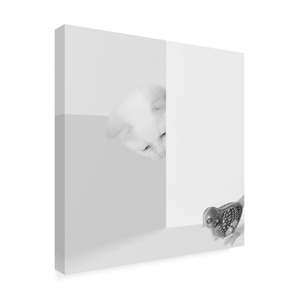 Jon Bertelli 'Peek A Boo Cat' Canvas Art,24x24